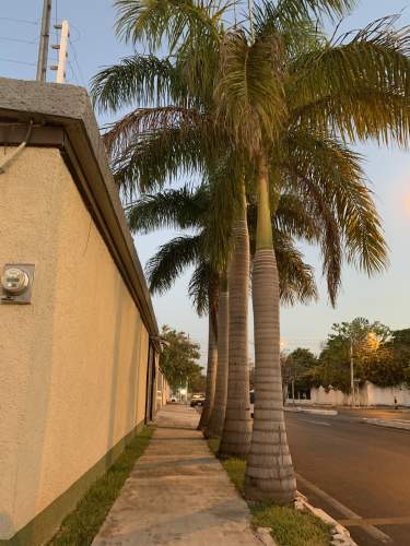 Fotografía 29 de Hermosa Casa En Esquina Sobre Avenida En Villas Del Sol