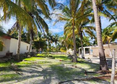 Fotografía 4 de Terreno en Telchac Puerto, Yucatán