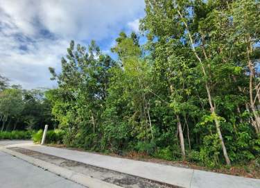 Fotografía 7 de Lote Residencial en Playa del Carmen, Quintana Roo