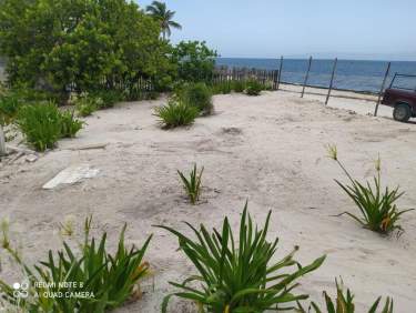 Fotografía 1 de Terreno Frente de Playa en Venta San Crisanto