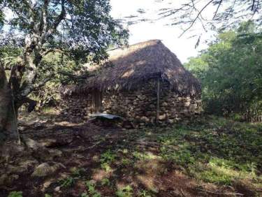 Fotografía 3 de Venta De Terreno ,Agrícola , Dzilam De Bravo,Yucatán