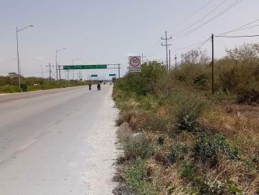 Fotografía 4 de Terreno En Progreso Yucatán.