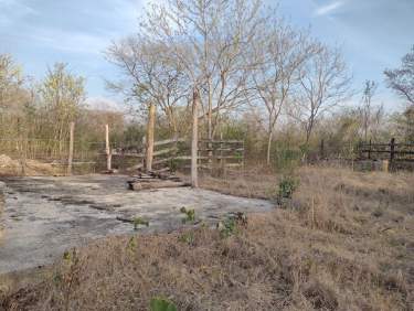 Fotografía 4 de Terreno En Venta 2.57 Ha, Municipio De Baca, Yucatán