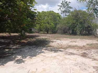 Fotografía 4 de Gran Terreno Dentro De La Ciudad Con Construcción, A Una Esquina De Circuito Col