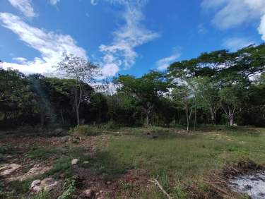 Fotografía 4 de En Venta Terreno En Cholul, Mérida (A Un Costado De La Carretera Mérida-Motul)