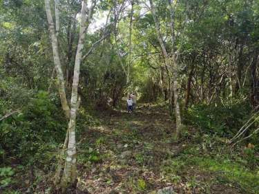 Fotografía 6 de Venta De Terreno ,Agrícola , Dzilam De Bravo,Yucatán