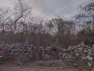 Fotografía 7 de Terreno En Venta 2.57 Ha, Municipio De Baca, Yucatán