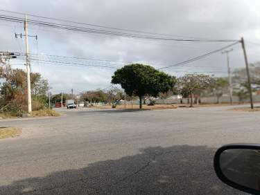 Fotografía 8 de Terreno En Renta Central De Abastos