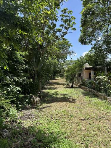 Fotografía 9 de En Venta Terreno En Cholul, Mérida (A Un Costado De La Carretera Mérida-Motul)