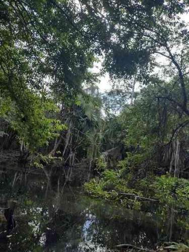 Fotografía 10 de Venta De Terreno ,Agrícola , Dzilam De Bravo,Yucatán