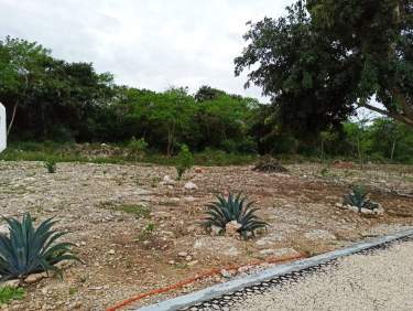 Fotografía 10 de Terreno Residencial Al Norte De Mérida A 12Minutos  De La Playa