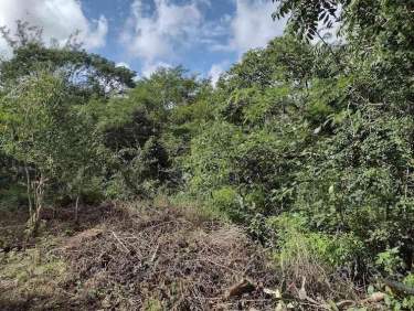 Fotografía 14 de Venta De Terreno ,Agrícola , Dzilam De Bravo,Yucatán