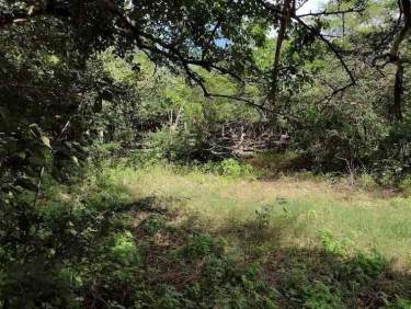 Fotografía 15 de Venta De Terreno ,Agrícola , Dzilam De Bravo,Yucatán