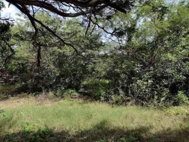 Fotografía 16 de Venta De Terreno ,Agrícola , Dzilam De Bravo,Yucatán