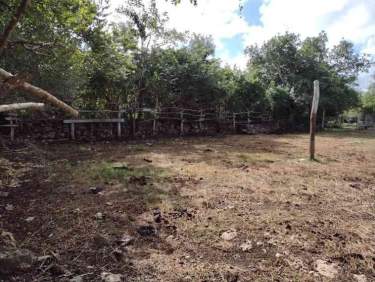 Fotografía 18 de Venta De Terreno ,Agrícola , Dzilam De Bravo,Yucatán