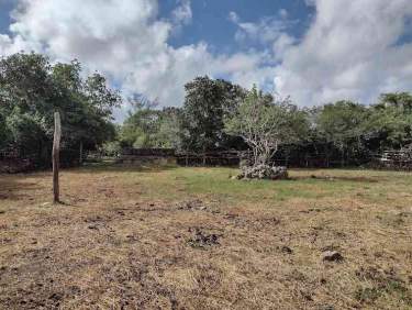 Fotografía 20 de Venta De Terreno ,Agrícola , Dzilam De Bravo,Yucatán