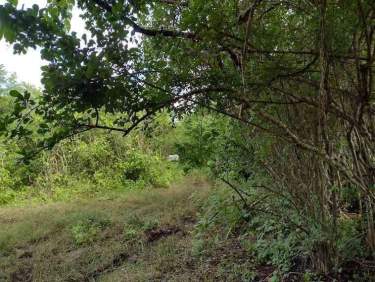 Fotografía 24 de Venta De Terreno ,Agrícola , Dzilam De Bravo,Yucatán