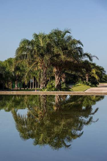 Fotografía 50 de Venta Terreno Platino En La Reserva