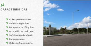 Fotografía 3 de Terreno En Venta En Mérida, 500 M2  Con Calle Pavimentada, Alumbrado Público.