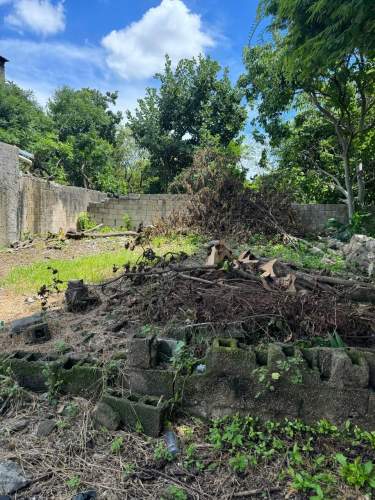 Fotografía 16 de En Venta Casa Para Restaurar En El Centro De Merida Con Amplio Terreno