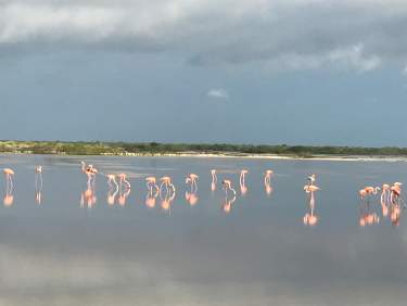 Fotografía 14 de VENTA DE CASA EN SAN CRISANTO AMUEBLADA CON VISTA AL MAR