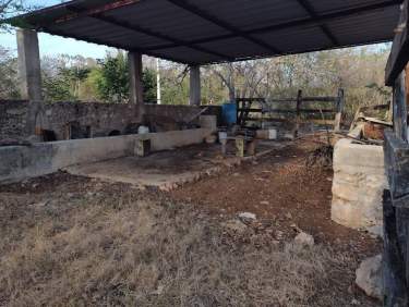 Fotografía 3 de Terreno En Venta 2.57 Ha, Municipio De Baca, Yucatán