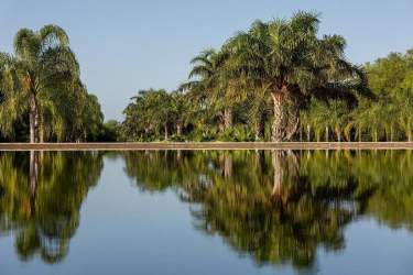 Fotografía 4 de Venta Terreno En La Reserva, Mérida.