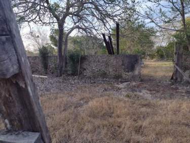 Fotografía 5 de Terreno En Venta 2.57 Ha, Municipio De Baca, Yucatán