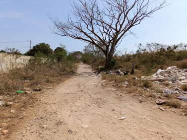 Fotografía 5 de Terreno En Venta En El Poniente De Mérida.