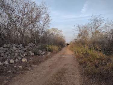 Fotografía 8 de Terreno En Venta 2.57 Ha, Municipio De Baca, Yucatán