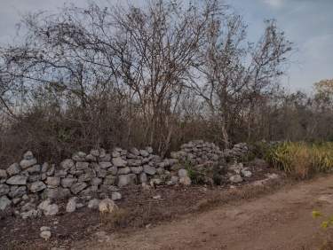 Fotografía 10 de Terreno En Venta 2.57 Ha, Municipio De Baca, Yucatán