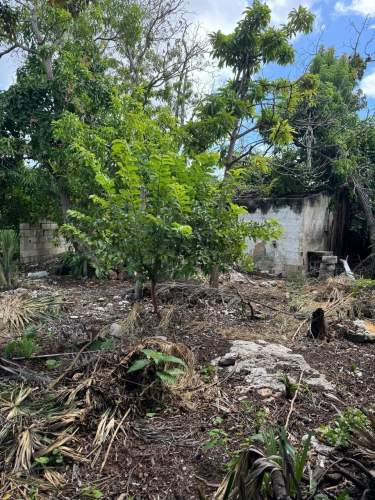 Fotografía 10 de En Venta Terreno De 300 M2 En El Centro De Merida A Unas Cuadras De La Ermita