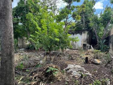 Fotografía 11 de En Venta Terreno De 300 M2 En El Centro De Merida A Unas Cuadras De La Ermita