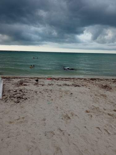 Fotografía 14 de Renta  De Casa Amueblada En Progreso, Yucatán