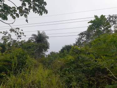 Fotografía 2 de Terreno En Venta Carretera Valladolid A Cancún.