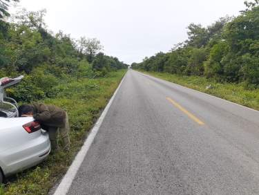 Fotografía 3 de Terreno En Venta Carretera Valladolid A Cancún.