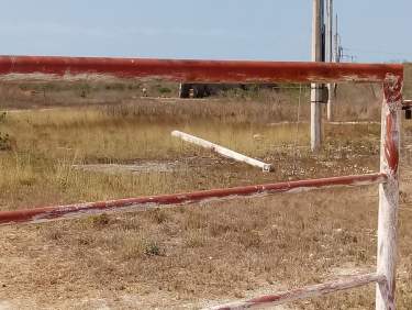 Fotografía 3 de Terreno En Progreso Yucatán.