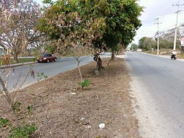 Fotografía 5 de Terreno En Renta Central De Abastos