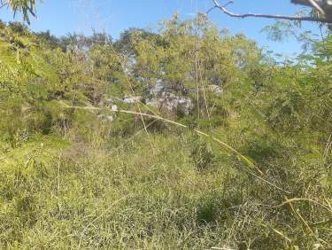 Fotografía 6 de Terreno En Progreso Yucatán.