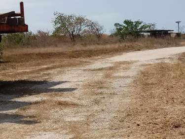 Fotografía 7 de Terreno En Progreso Yucatán.