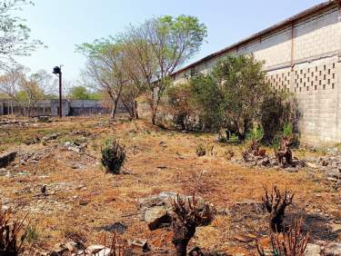 Fotografía 7 de Bodega Industrial En Mérida