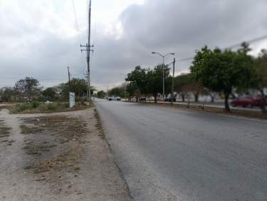 Fotografía 7 de Terreno En Renta Central De Abastos