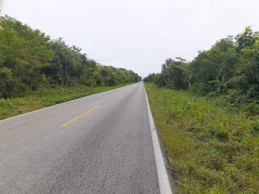 Fotografía 8 de Terreno En Venta Carretera Valladolid A Cancún.